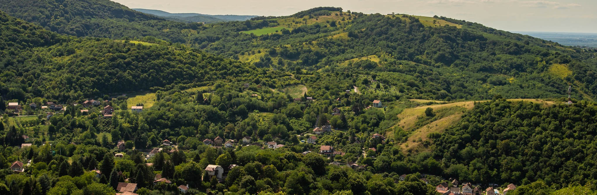 Fruška gora